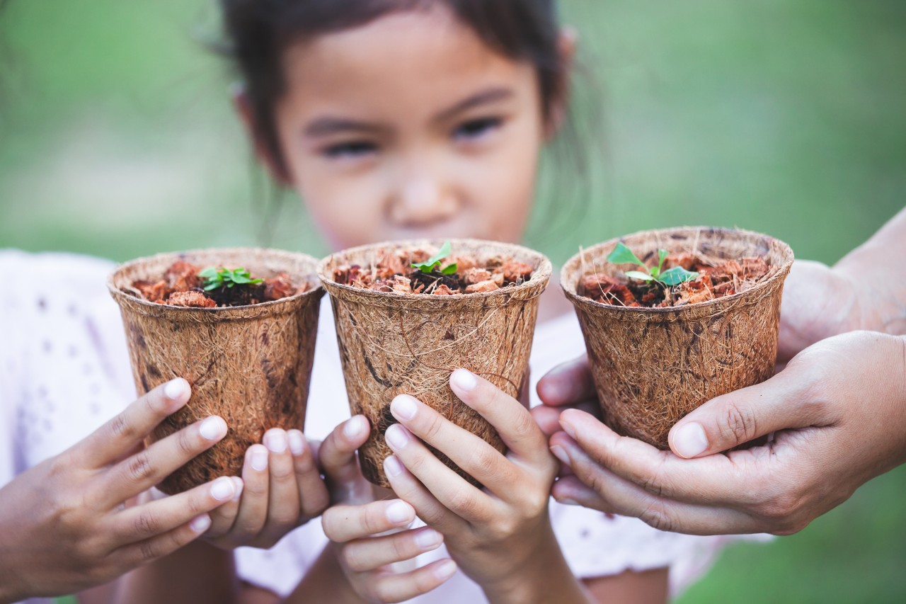 Children and parent hands holding young seedlings in recycle fiber pots together for planting in the garden