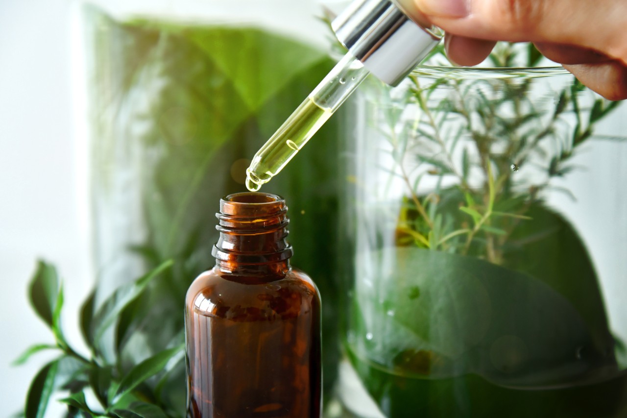 Scientist with natural drug research, Natural organic botany and scientific glassware, Alternative green herb medicine, Natural skin care beauty products, Research and development concept.